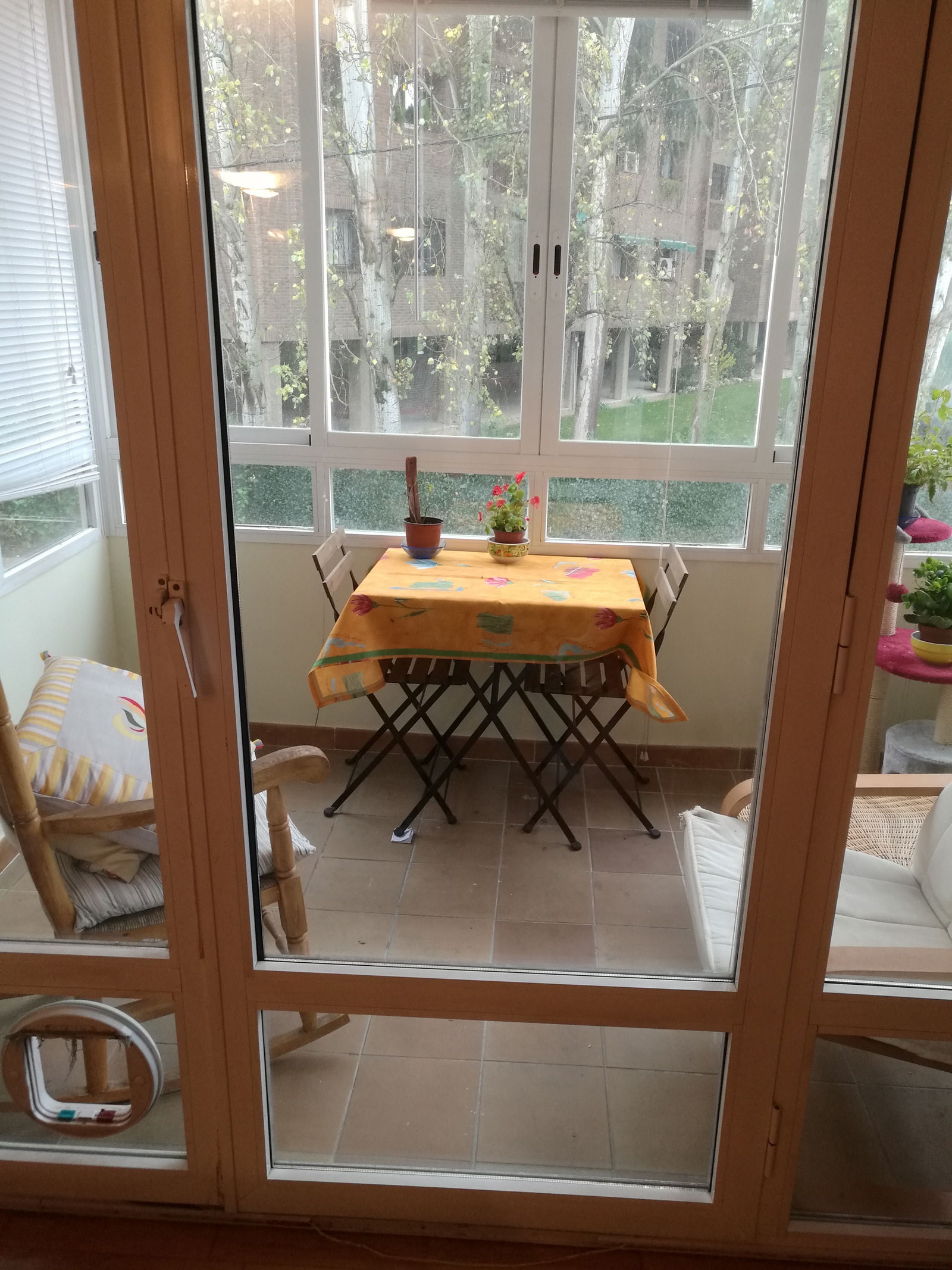 Kolokasie Pozuelo de Alarcón 133044