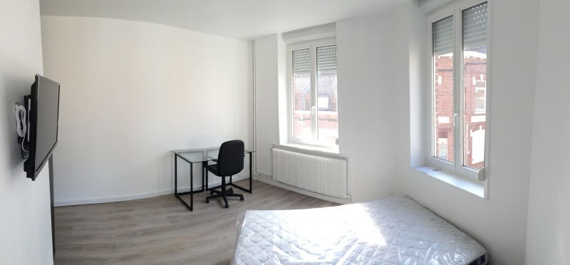 Kolokasie Loos 124499