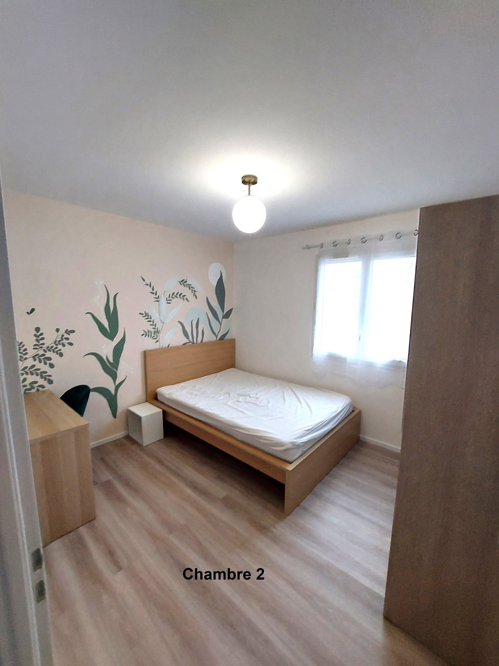 Kolokasie Vaulx-en-Velin 657088