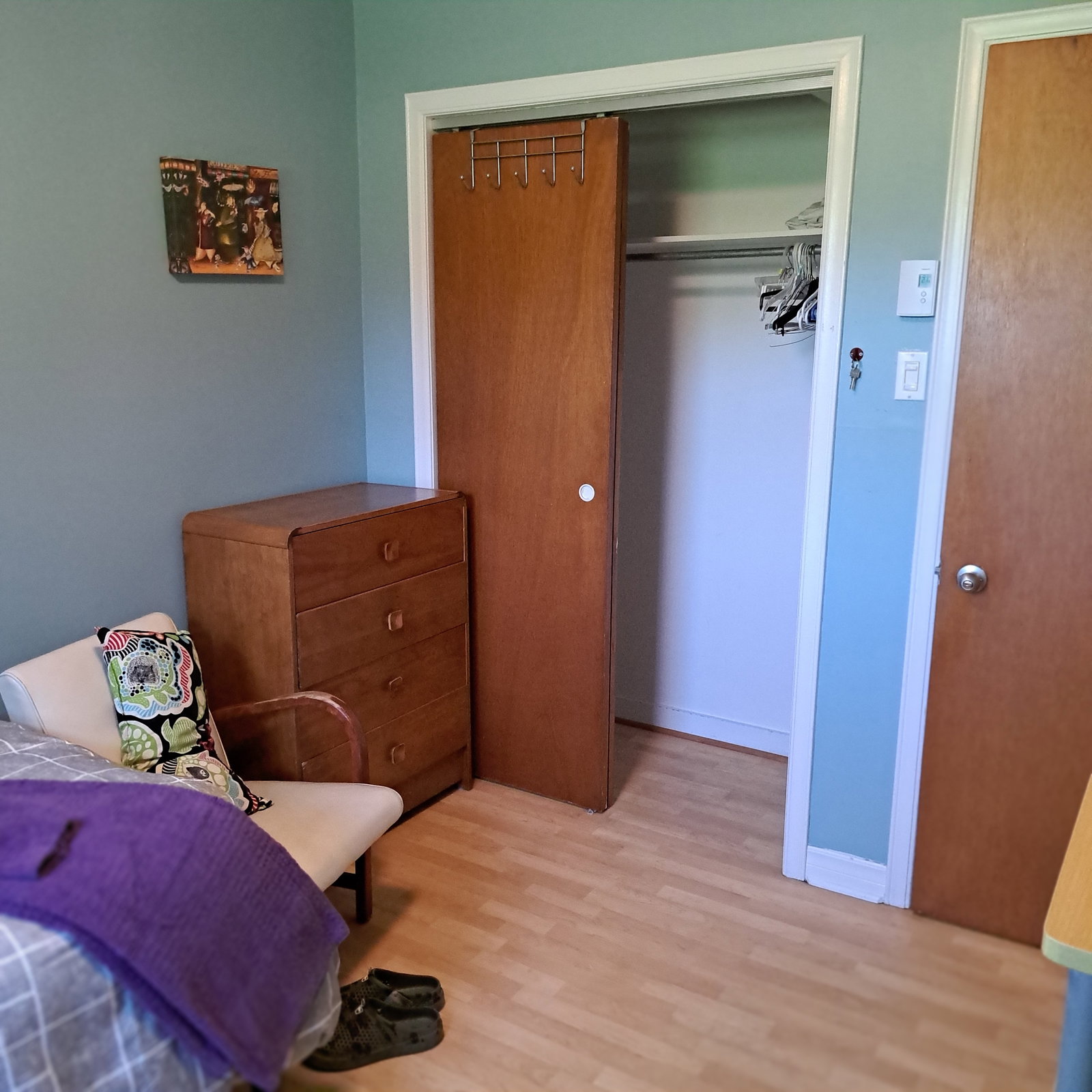 Kolokasie Québec 163665