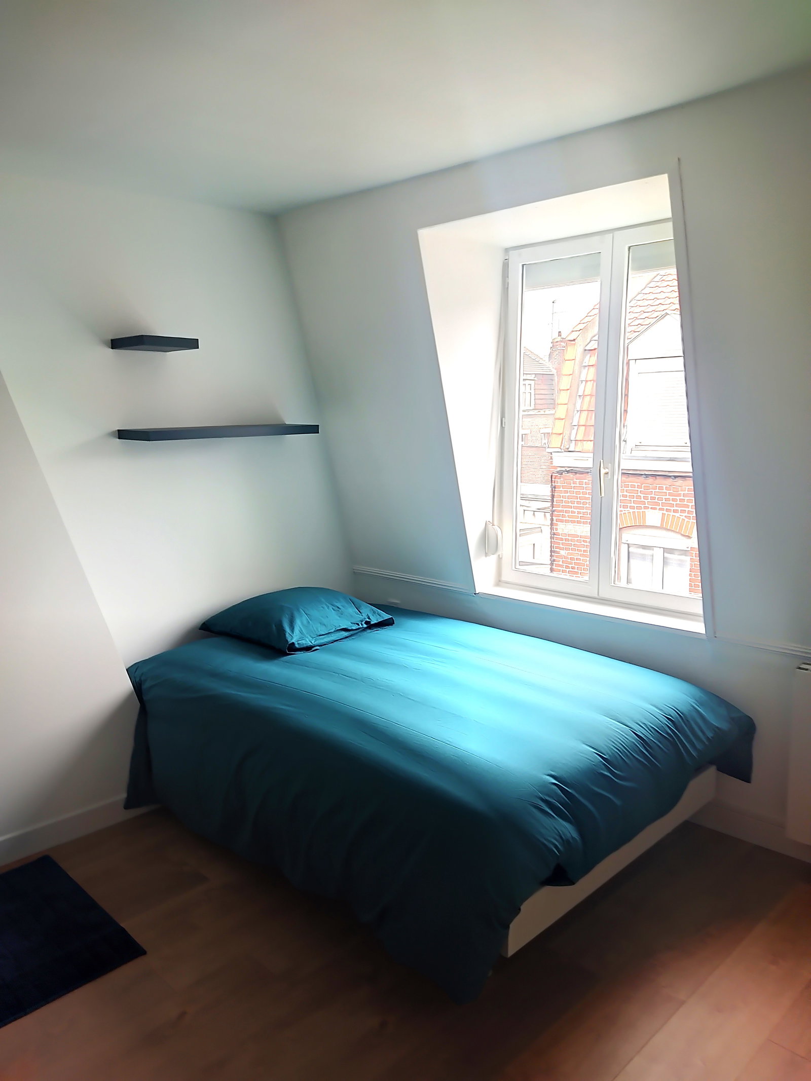 Kolokasie Lille 469419