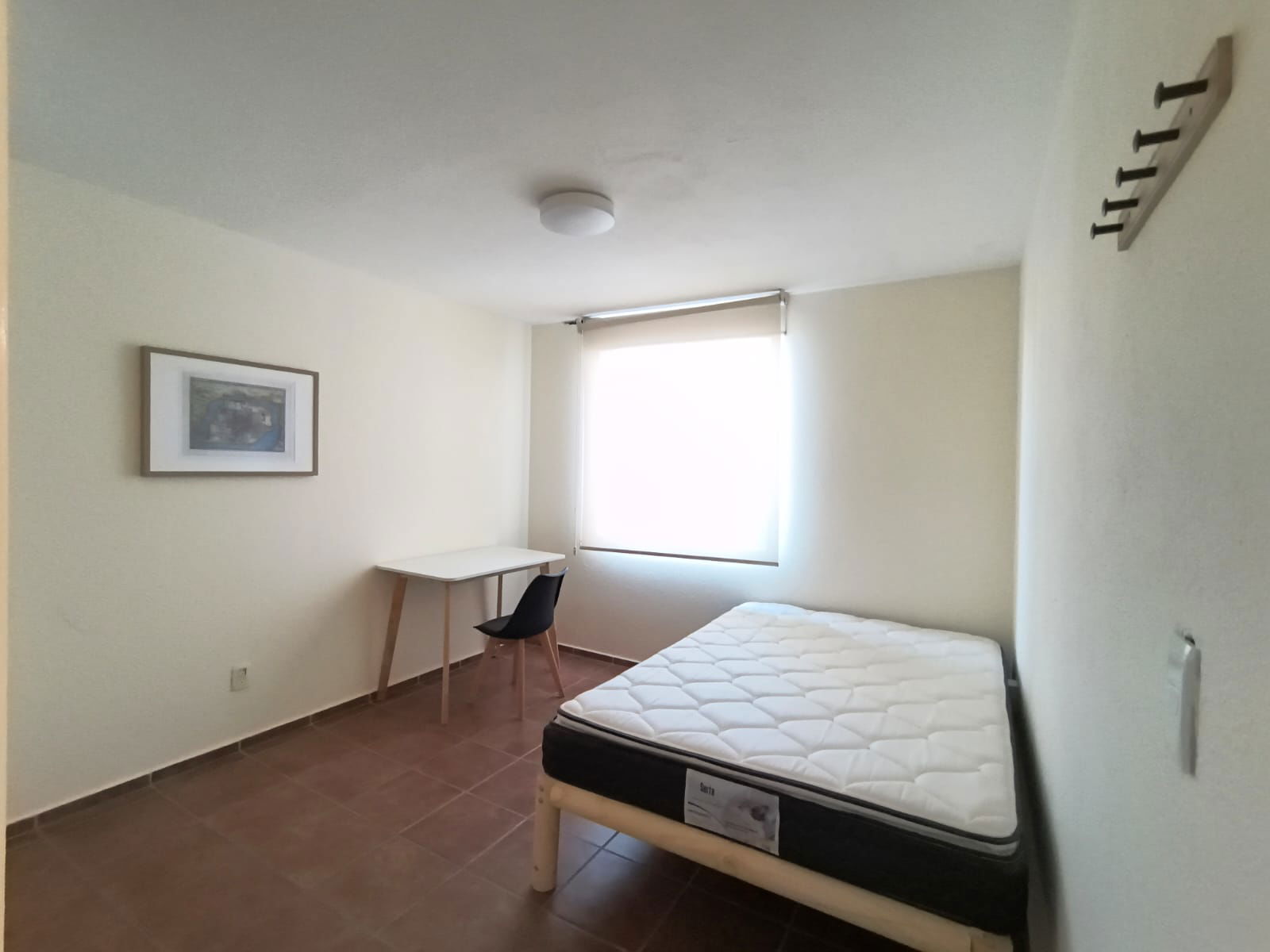 Coliving México D.F. 631379