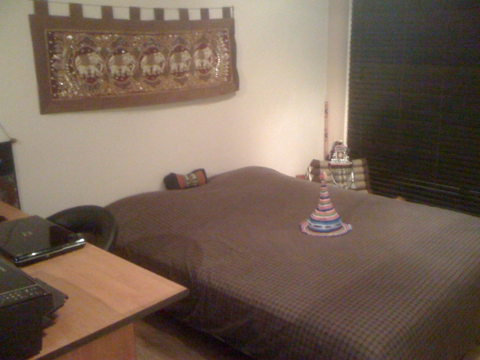 Kolokasie Le Cannet 29497