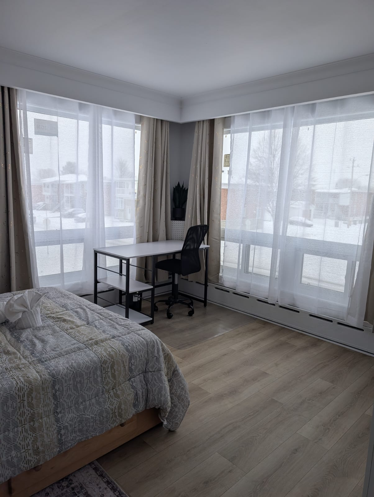 Kolokasie Trois-Rivières 643561