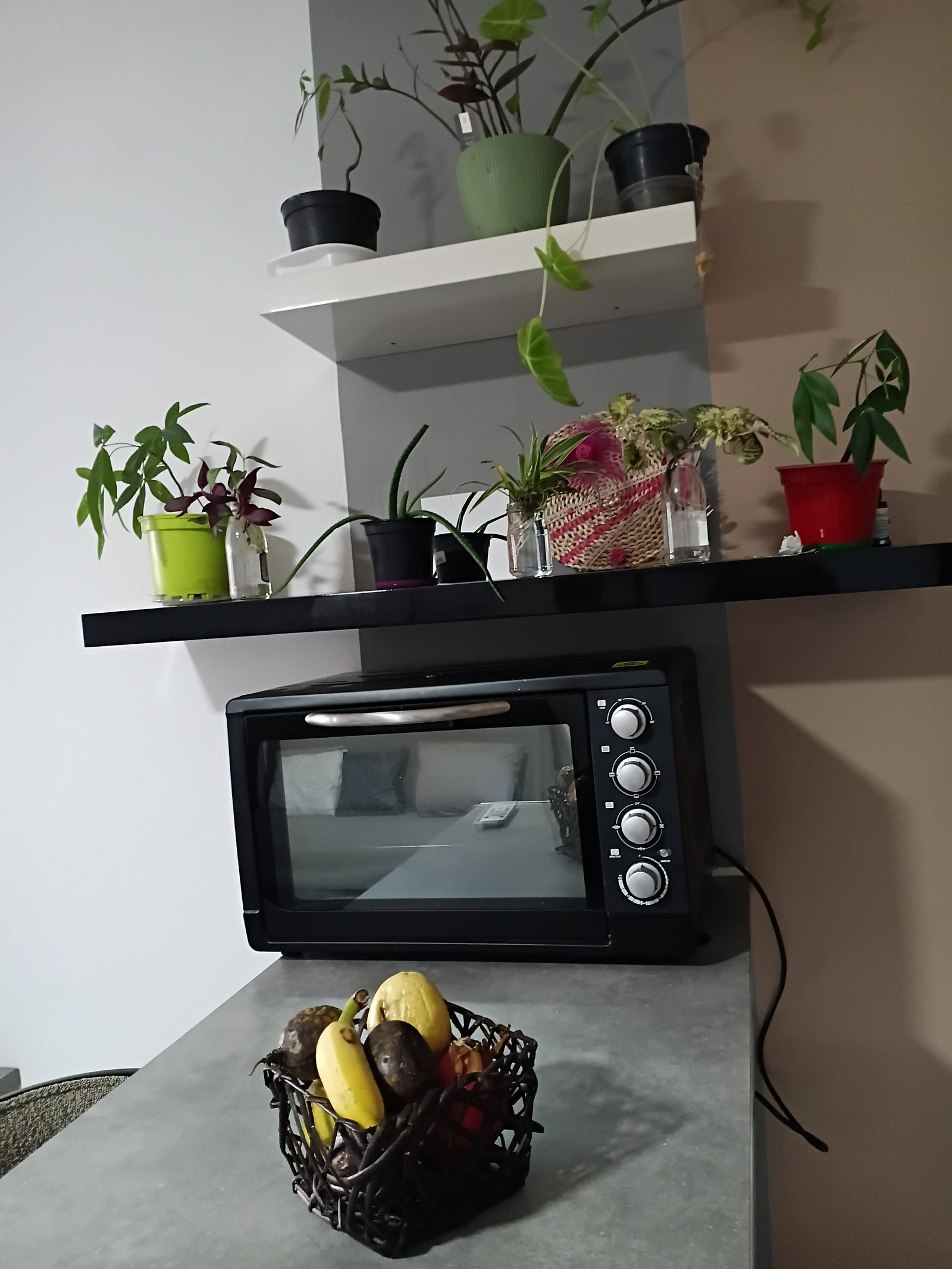Gesamte Unterkunft Saint-Paul 382550
