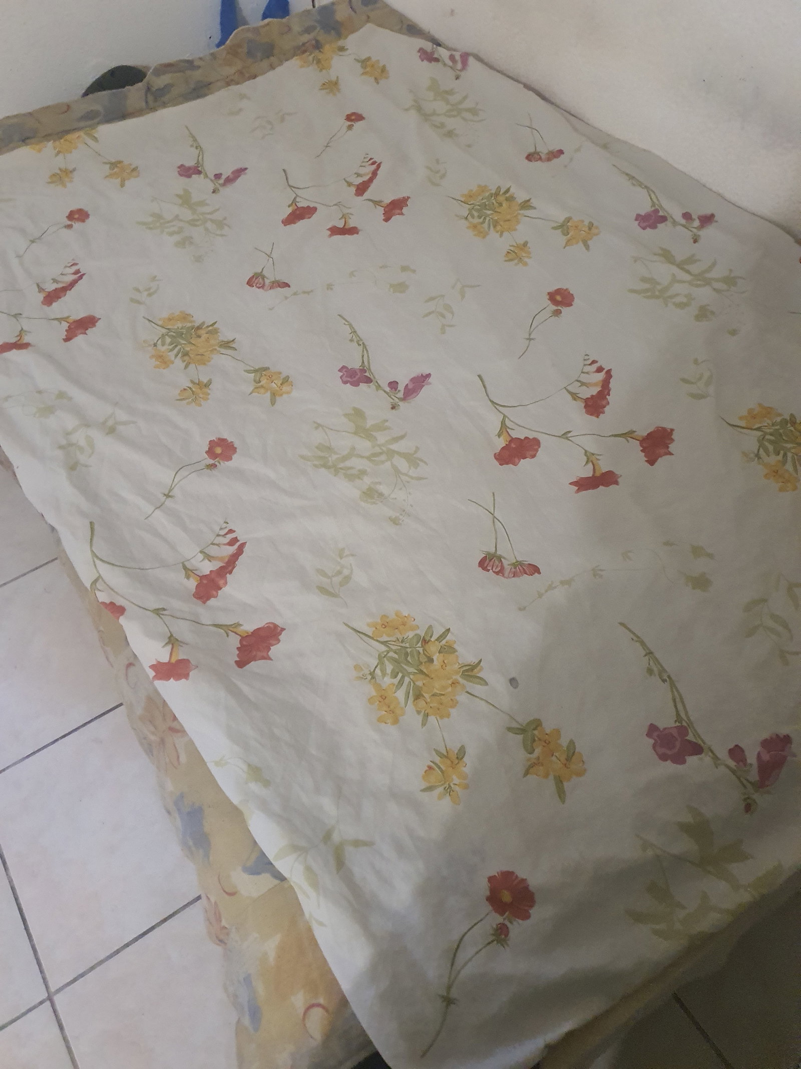Gesamte Unterkunft Canet-en-Roussillon 667444