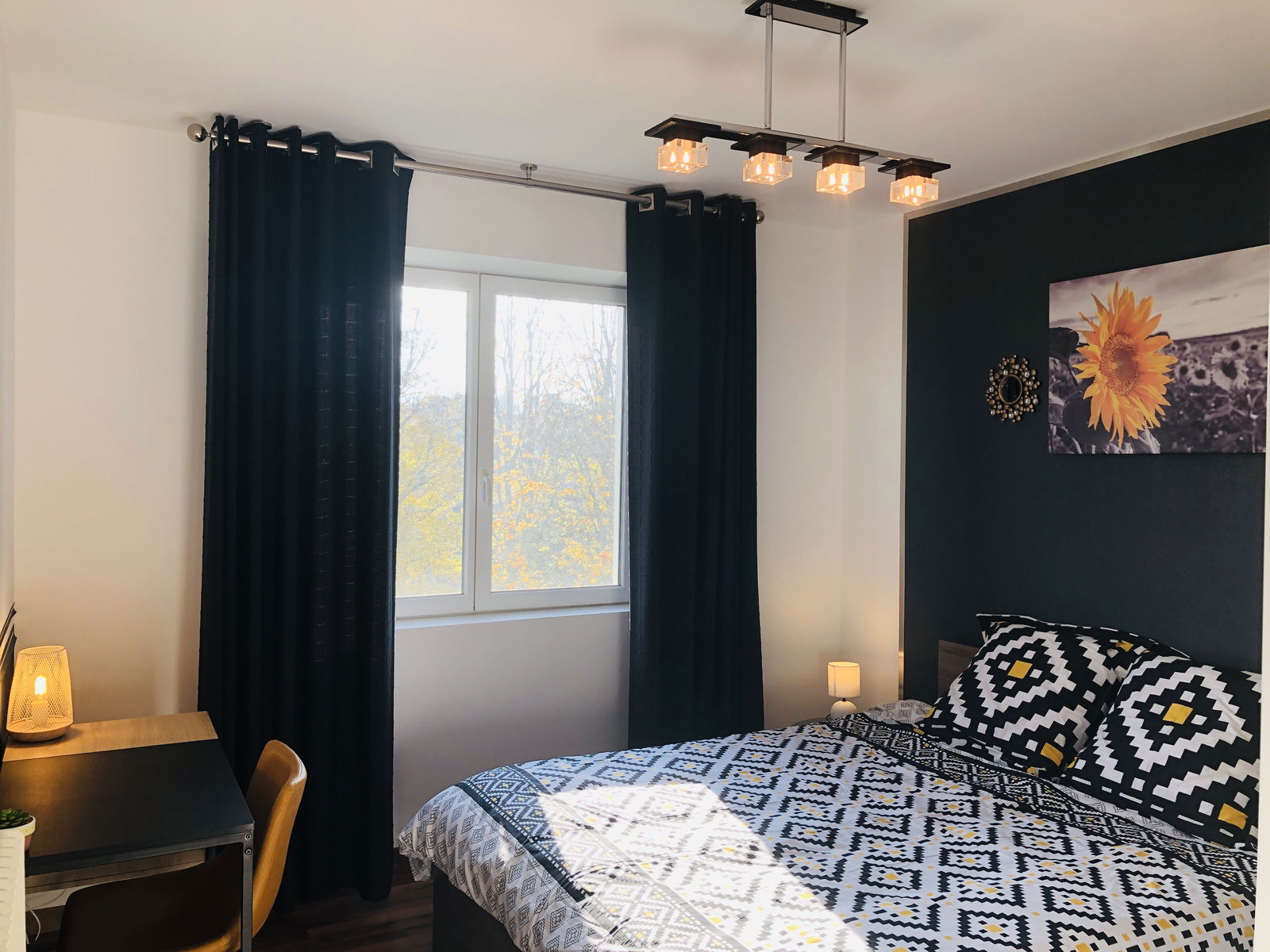 Kolokasie Mulhouse 231964