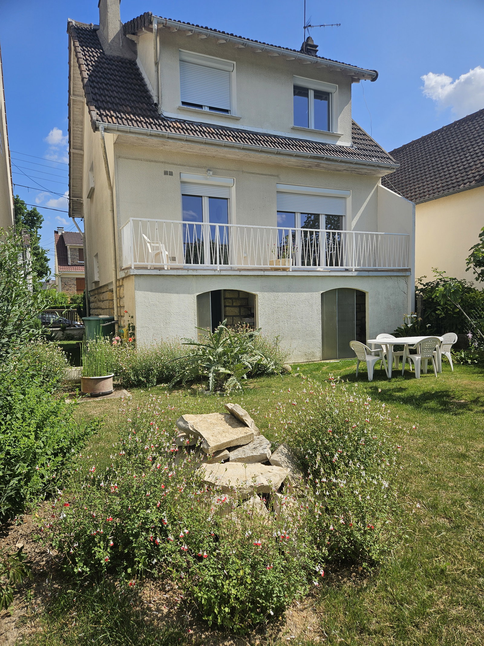 Kolokasie Orsay 412247