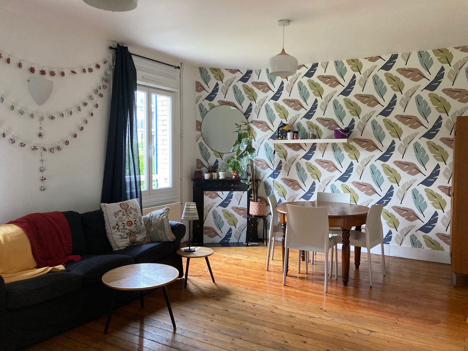 Kolokasie Saint-Quentin 503239