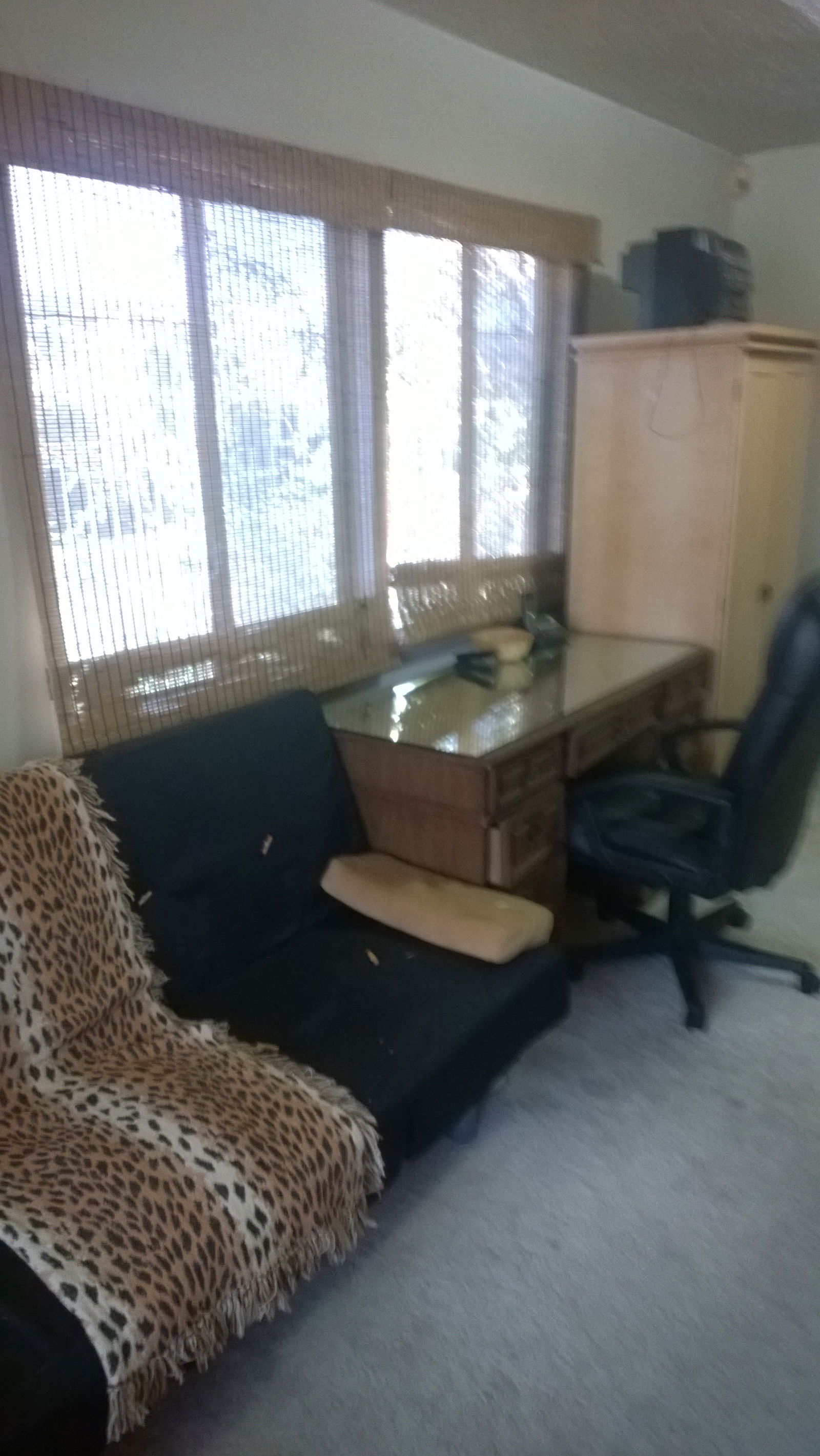 Gastfamilie Los Angeles 122702