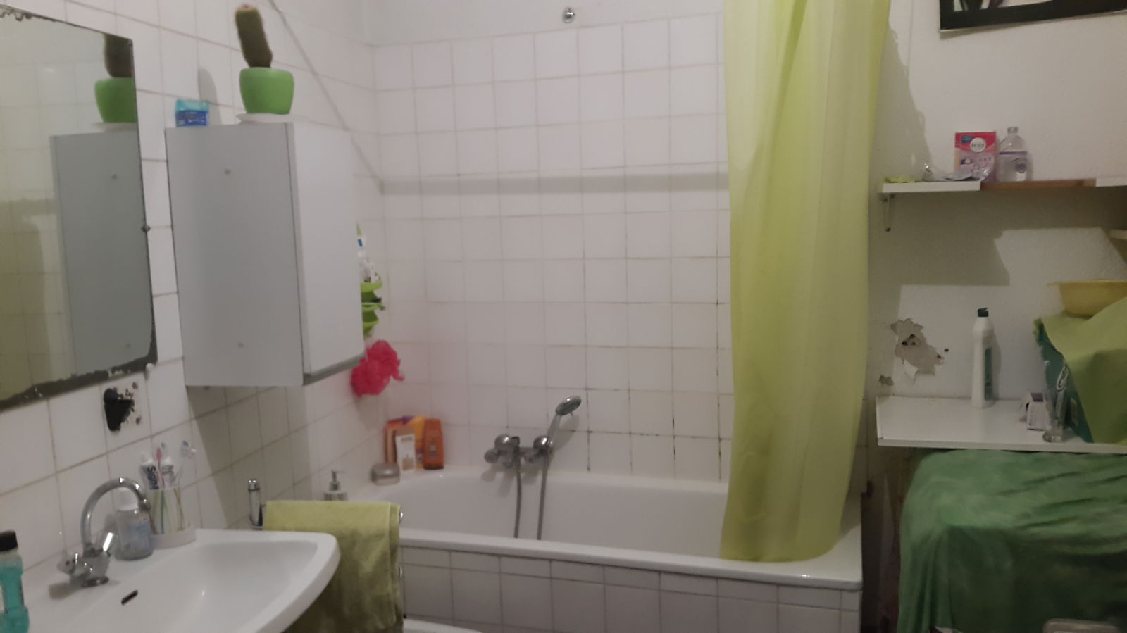 Kolokation Nice 120173