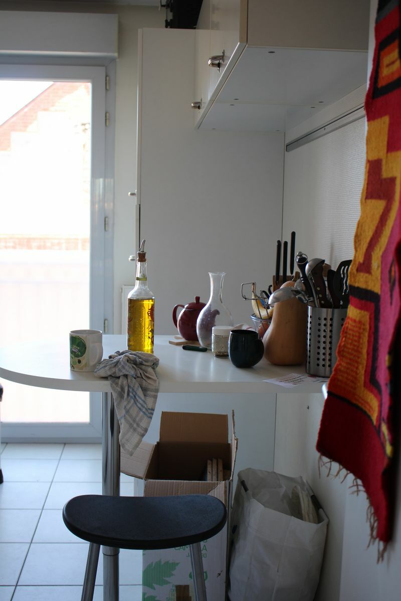 Colocatie Toulouse 118790