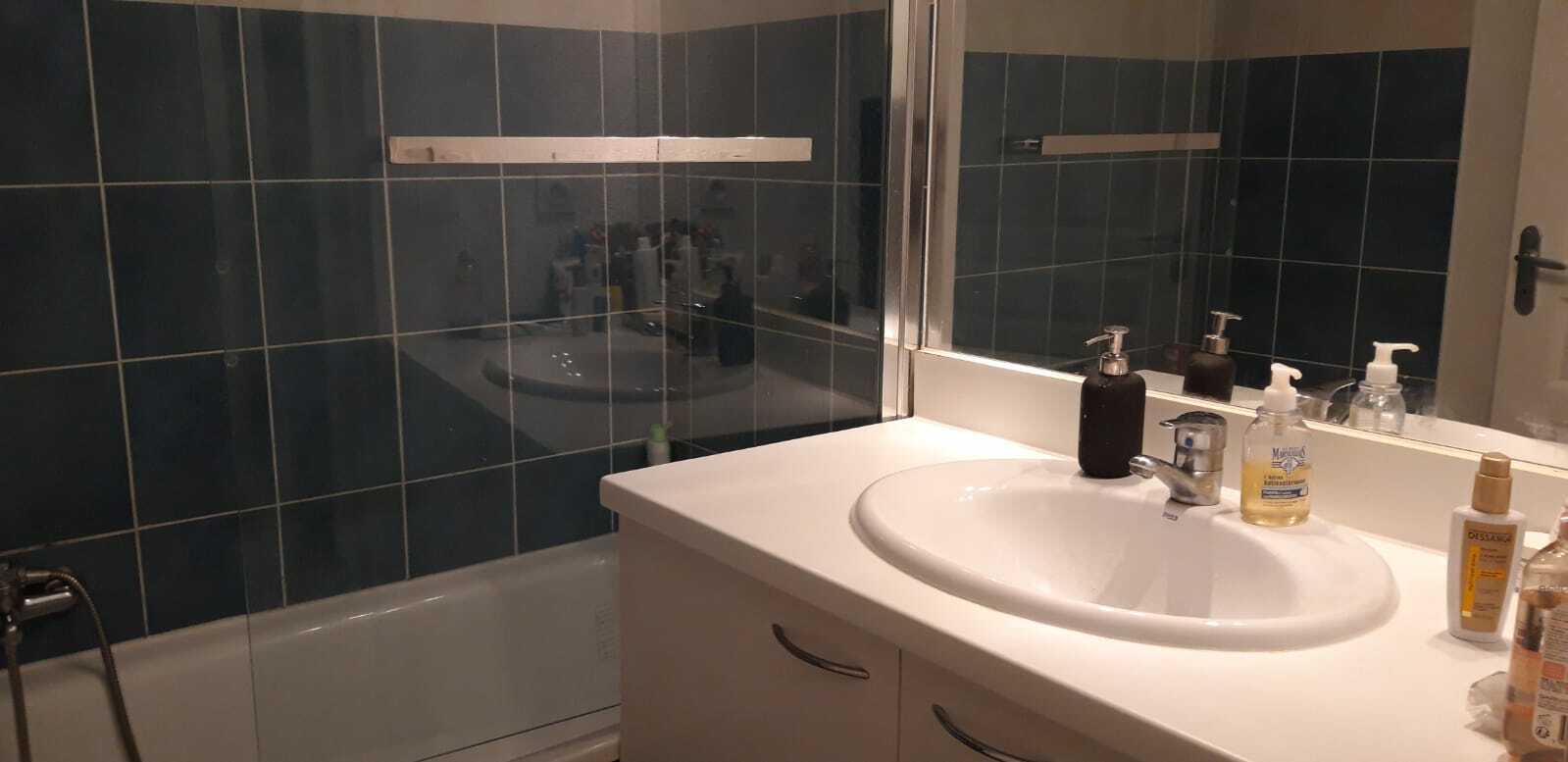 Colocatie Toulouse 258559