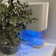 Gehele Woning Colmar 654454