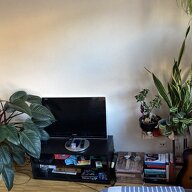 Gastgezin Lausanne 657295