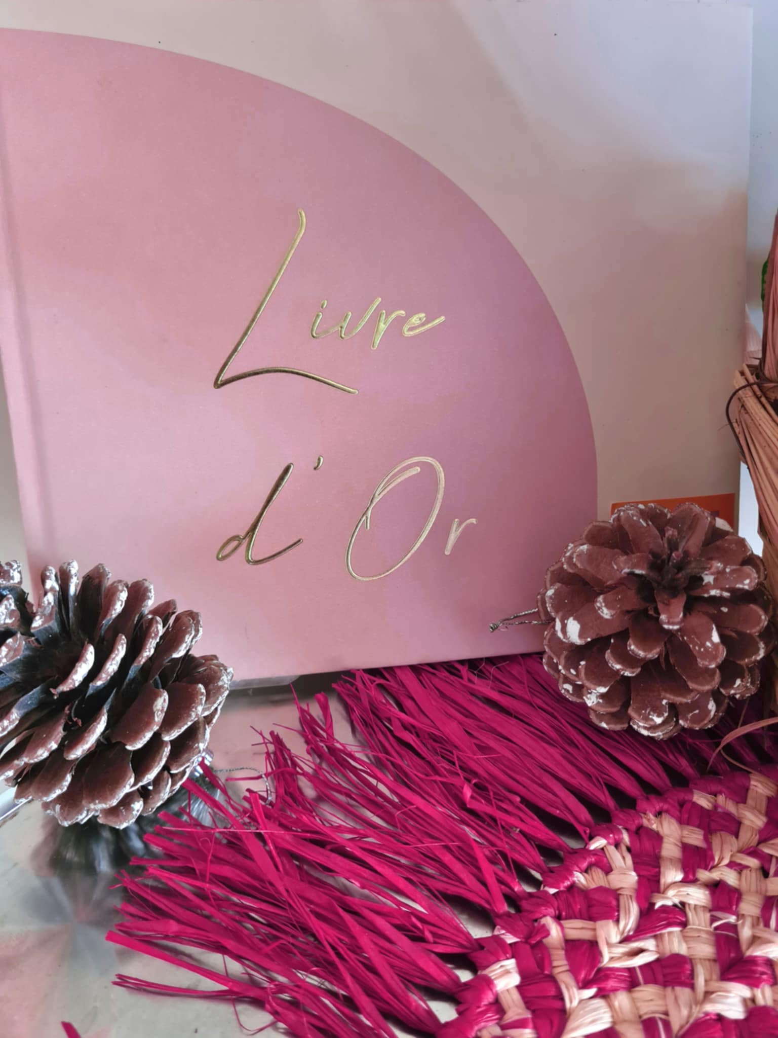 Gehele Woning Saint Pierre 58436