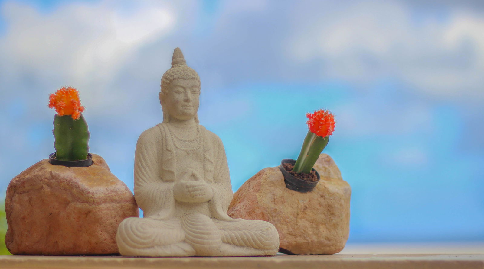 Gastgezin Saint Pierre 58436