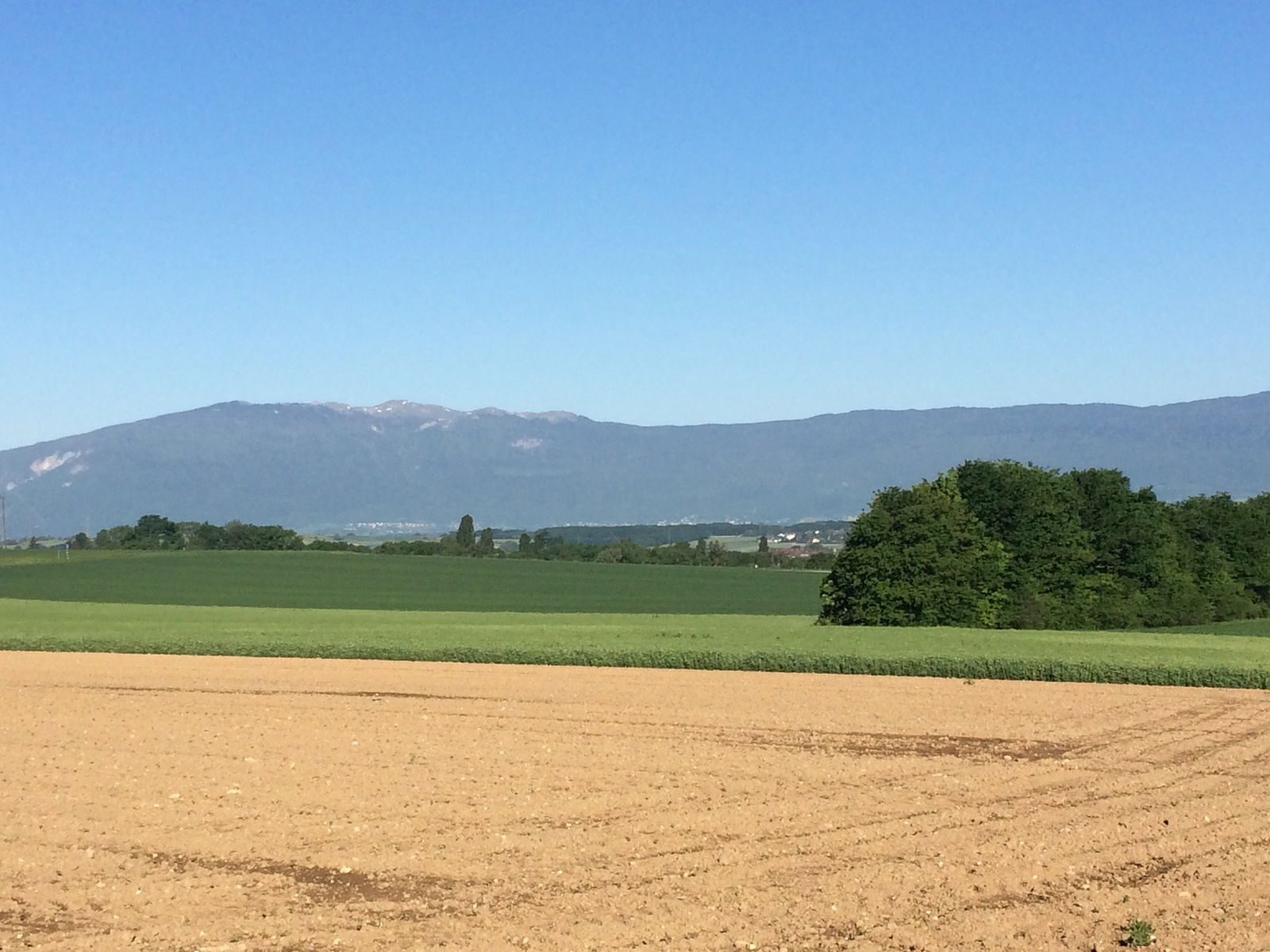 Gastgezin Plan-les-Ouates 233286