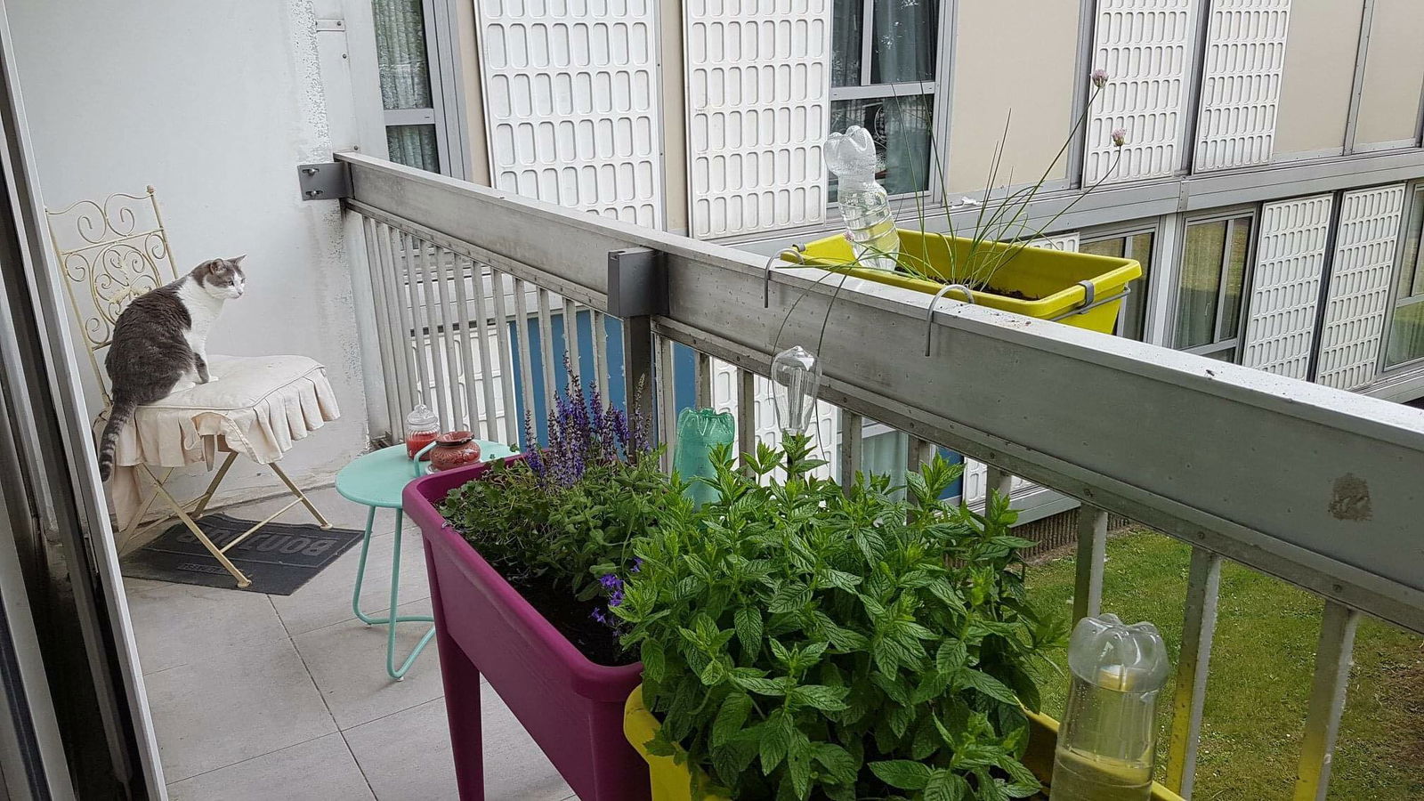 Colocatie Pierrefitte-sur-Seine 243338