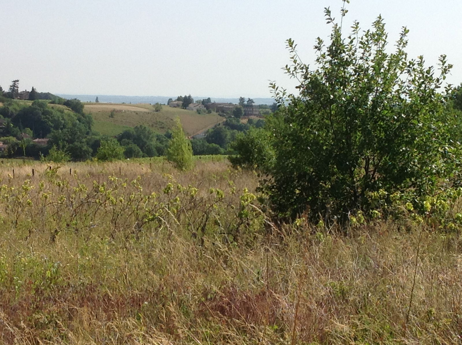 Gastgezin Denicé 75267