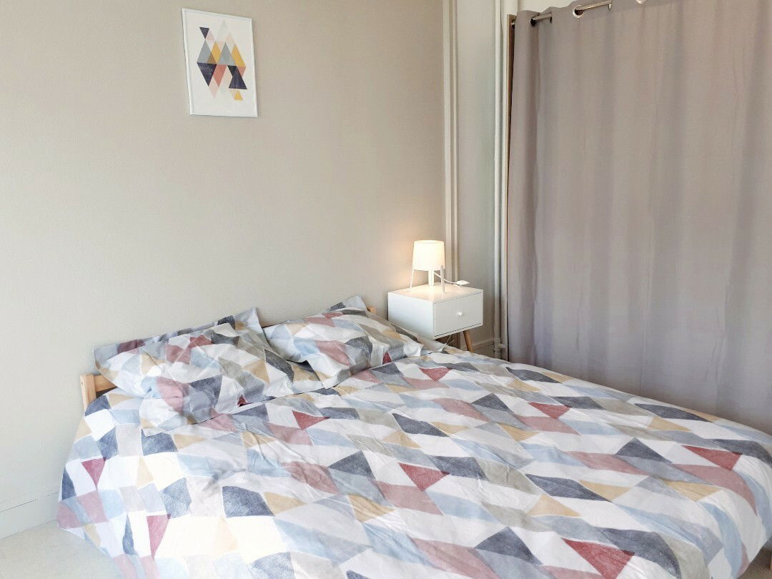 Colocatie Le Mans 247275