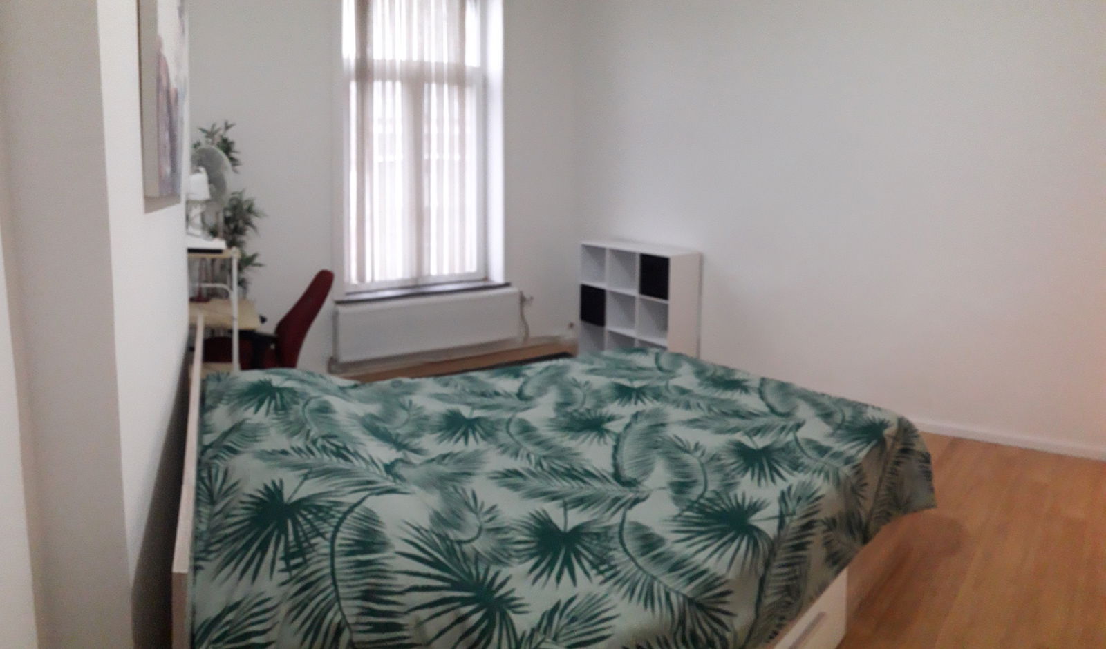 Colocation Charleroi 249649