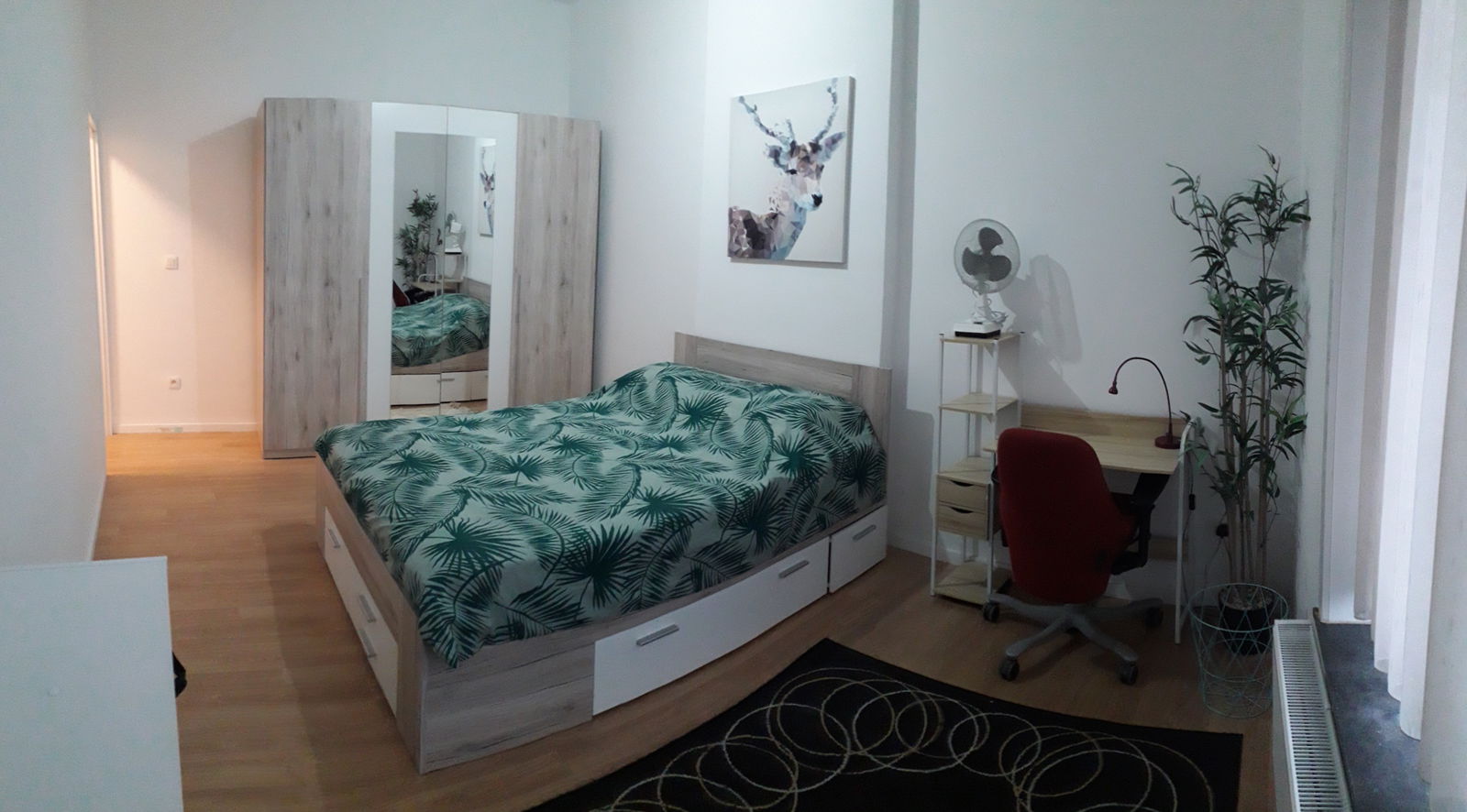 Colocation Charleroi 249649