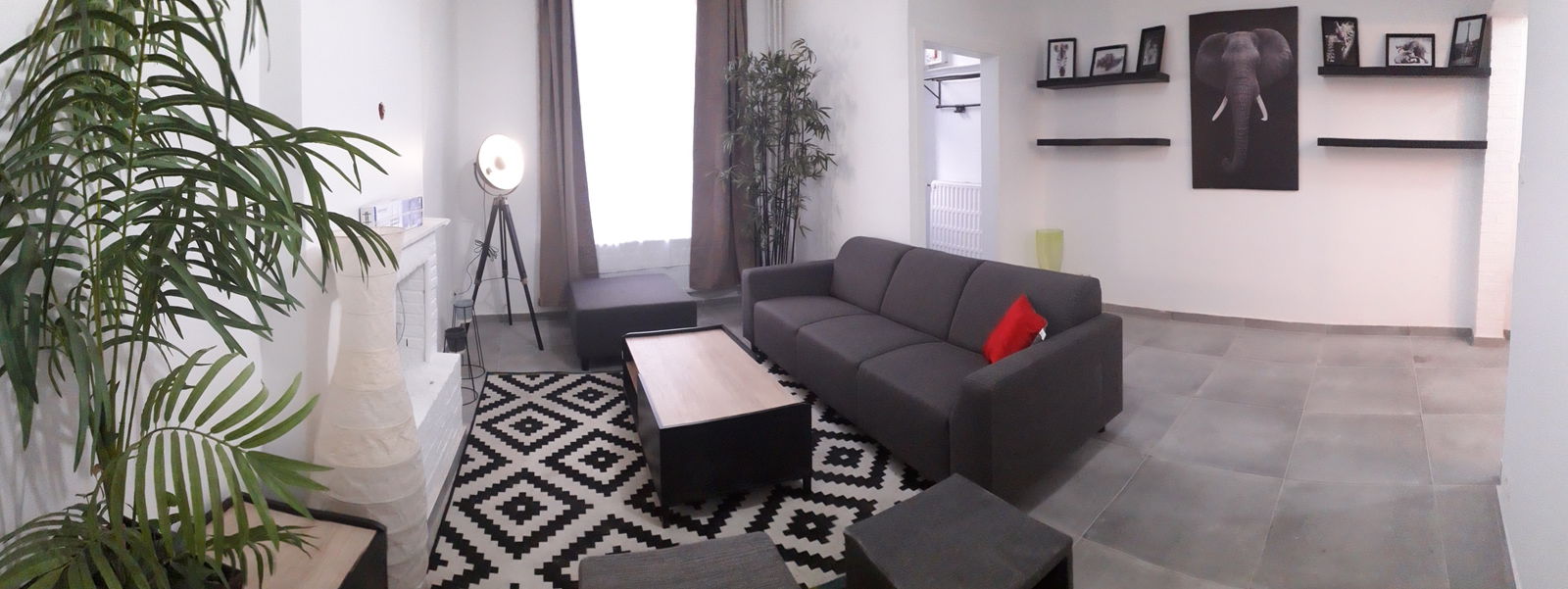 Colocation Charleroi 249649