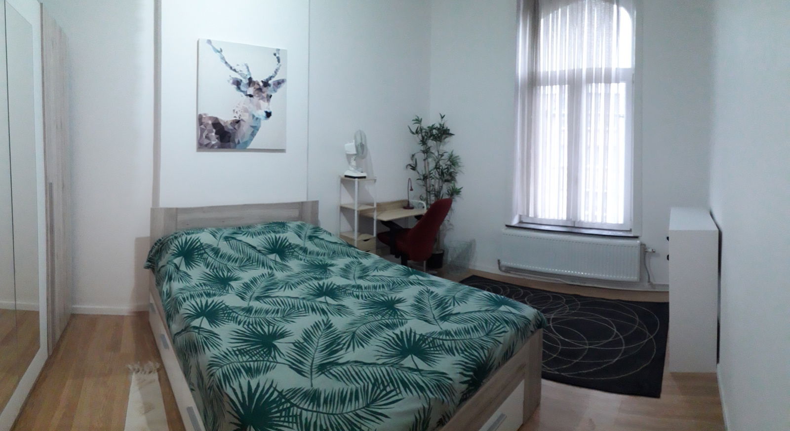 Colocation Charleroi 249649