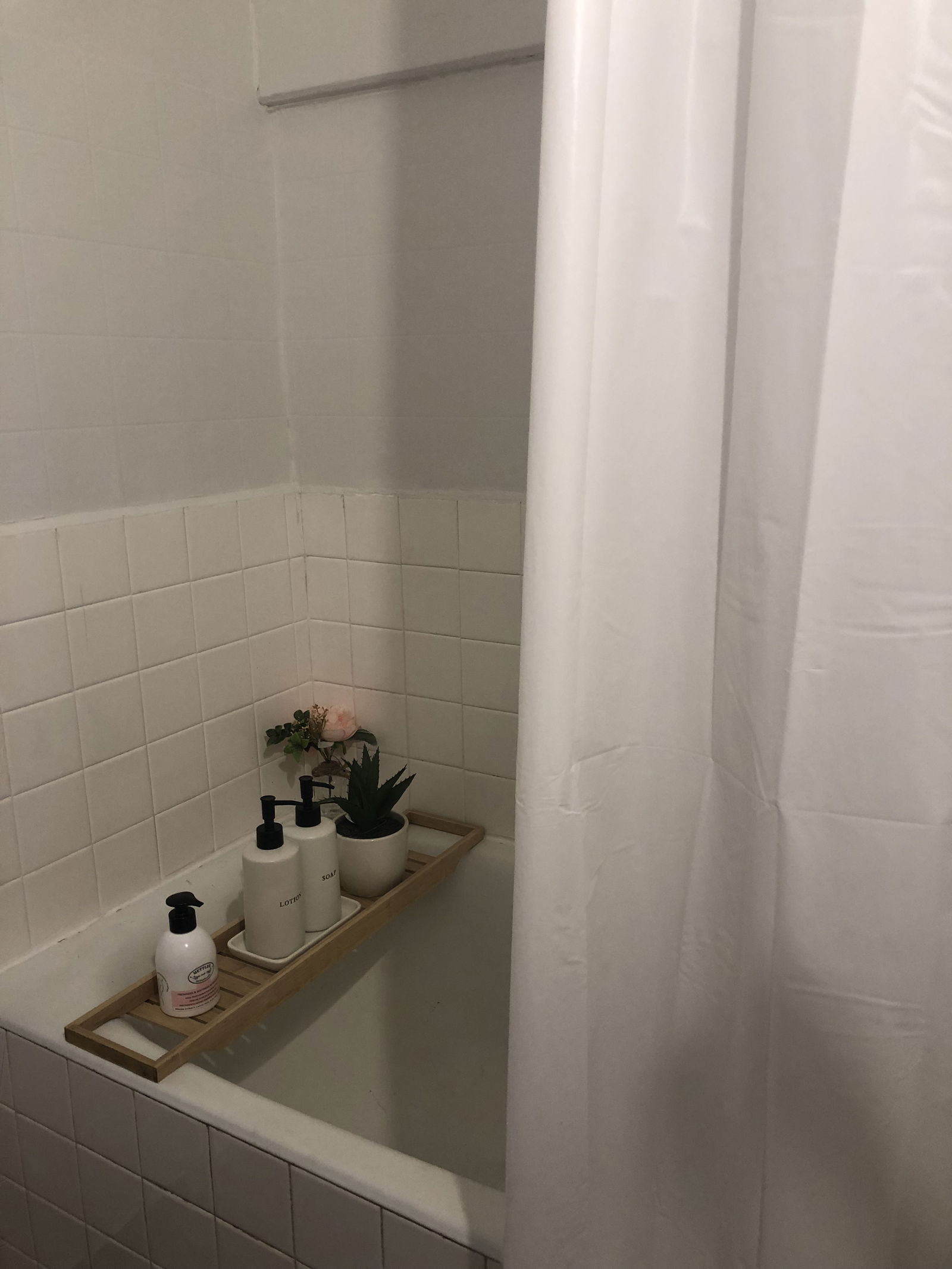 Homestay Lyon 339296