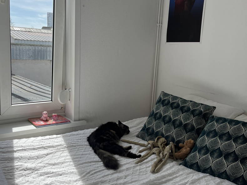 Colocación Lille 388352-2