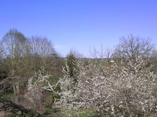 Chambre À Louer La Salvetat-Peyralès 50744