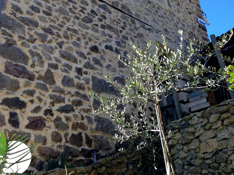 Gehele Woning Saint-Julien-du-Gua 179054-4