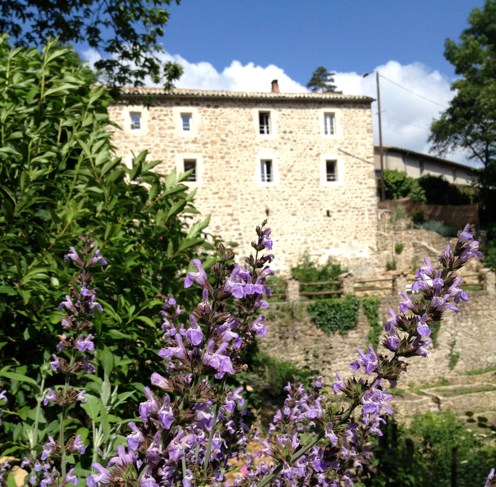 Tutta La Casa Saint-Julien-du-Gua 179054