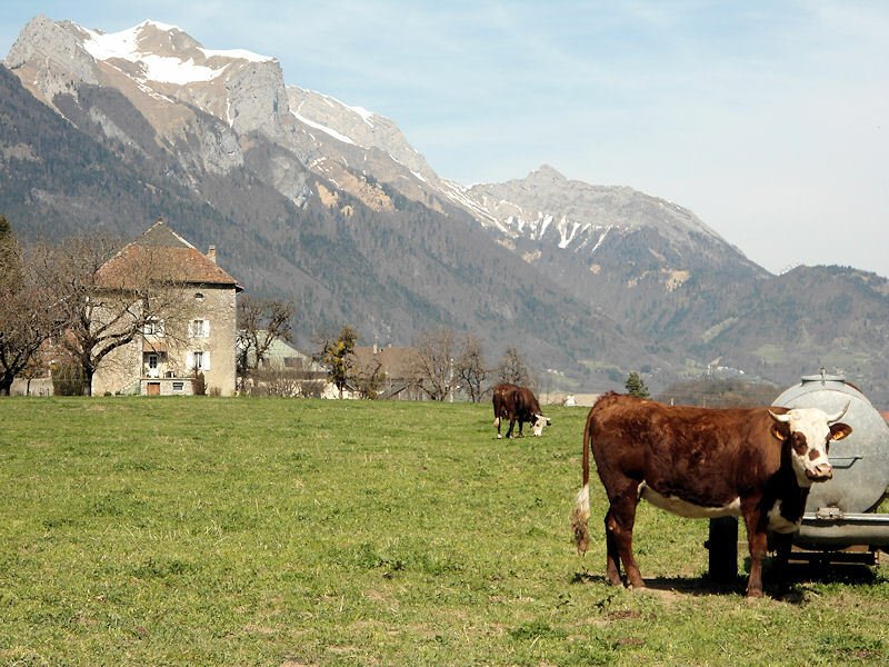 Onofhängeg Studio Faverges 143082