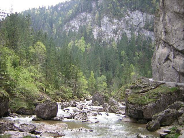 Habitaciones De Huéspedes Miercurea Ciuc 12933