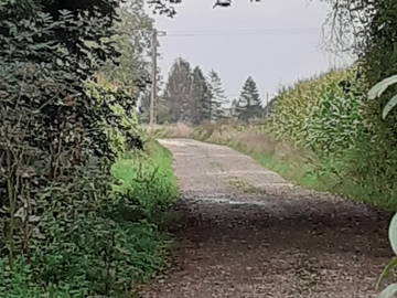 Chambre À Louer Wavrans-Sur-L'aa 432859-1