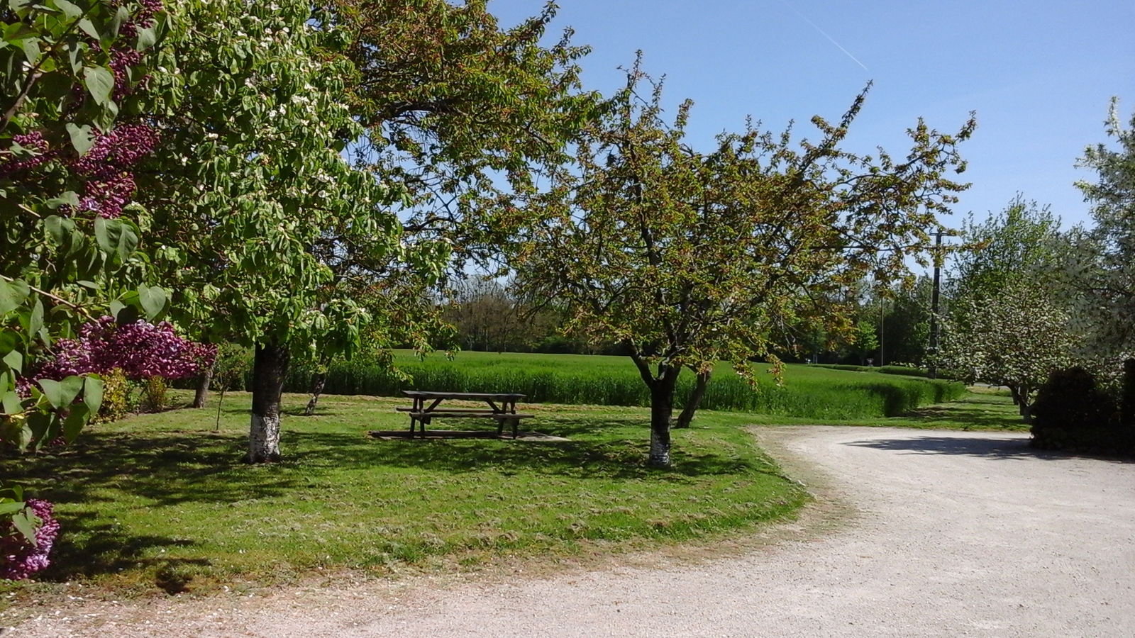 Onofhängeg Studio Donnery 164540