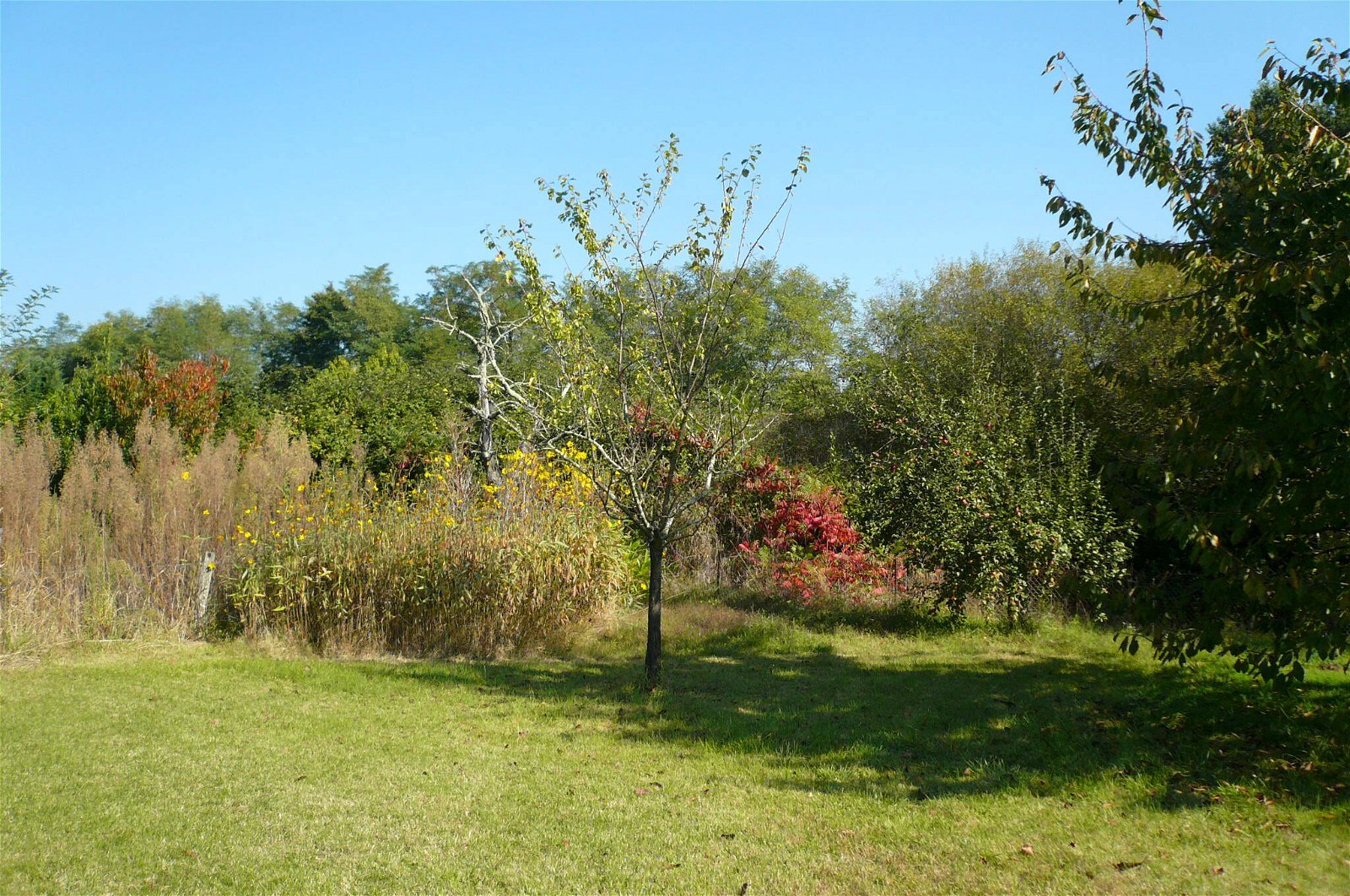 Oberoende Studio Saint-Magne-de-Castillon 49232