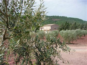 Roomlala | Gîte À Louer À La Campagne / Languedoc