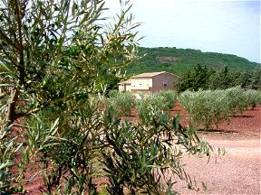 Cottage For Rent In The Countryside / Languedoc