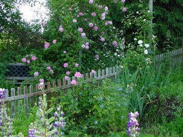 Toda La Casa Faucigny 28187-5