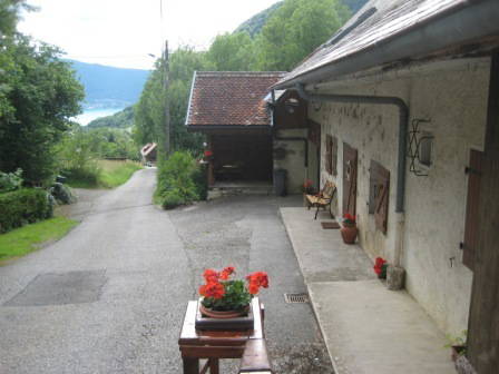 Toda La Casa Bluffy 88280-2