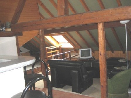 Unabhängiges Studio Bluffy 88280