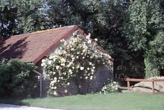 Onofhängeg Studio Mervans 16319