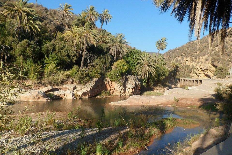 Studio Indépendant Inraren 89104