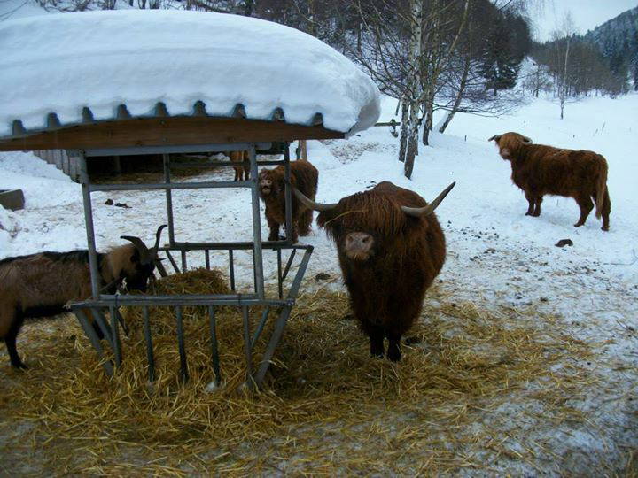 Toda La Casa Ventron 95884-2