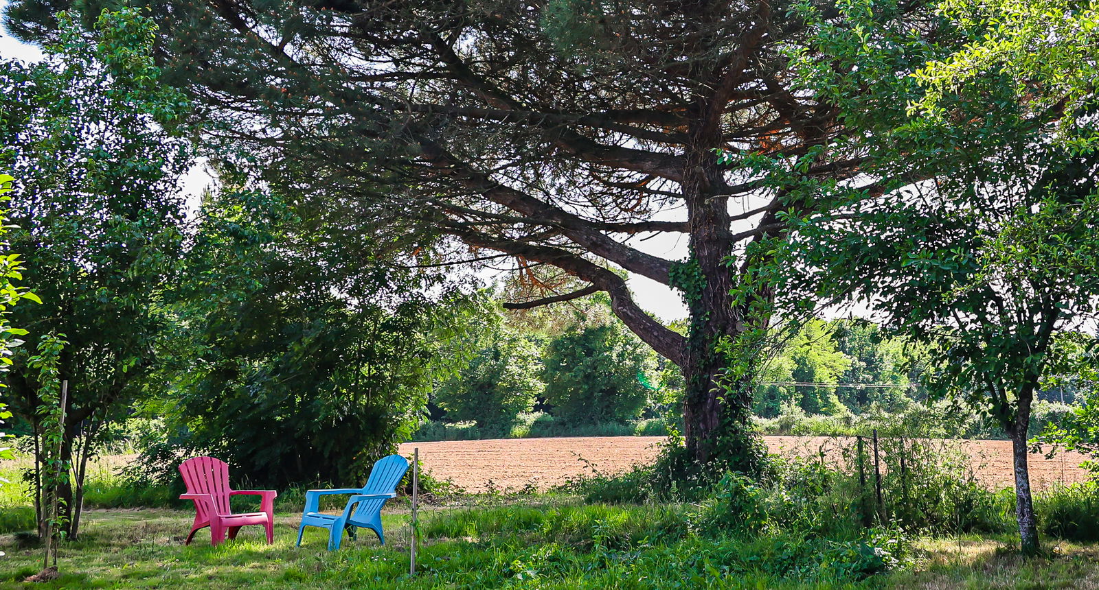 Onofhängeg Studio La Forêt-sur-Sèvre 537933