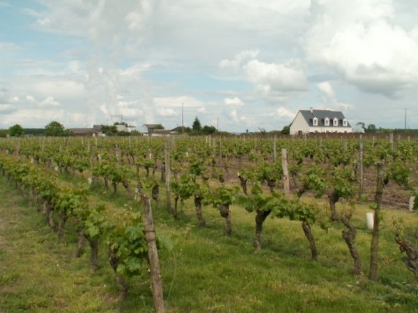 Oberoende Studio Savigny-en-Véron 237508