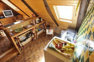 Colocation Saint-Alyre-és-Montagne 139508